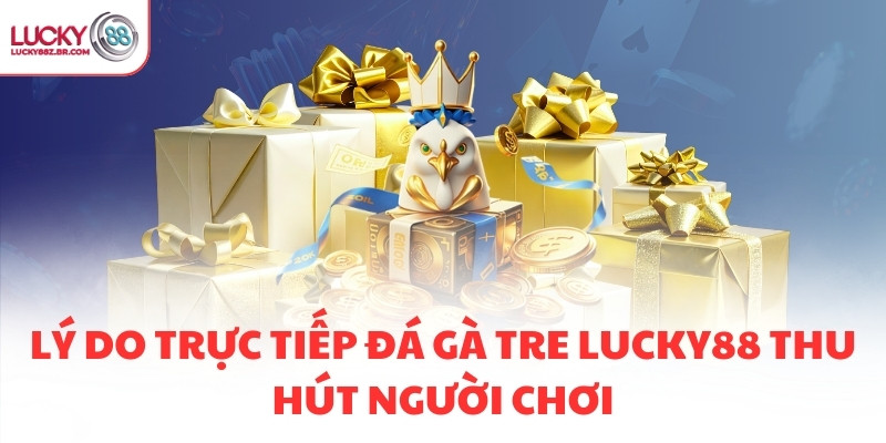 Lý do trực tiếp đá gà tre LUCKY88 thu hút người chơi
