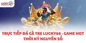 TRỰC TIẾP ĐÁ GÀ TRE LUCKY88 - GAME HOT THỜI KỶ NGUYÊN SỐ