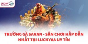 TRƯỜNG GÀ SAVAN - SÂN CHƠI HẤP DẪN NHẤT TẠI LUCKY88 UY TÍN